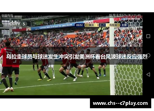 乌拉圭球员与球迷发生冲突引发美洲杯看台风波球迷反应强烈