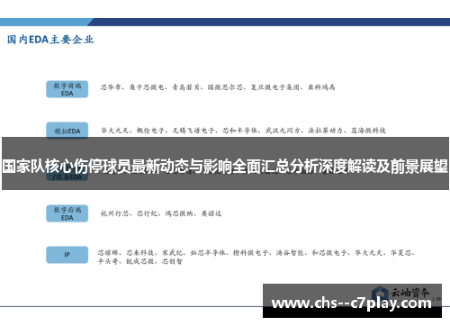 国家队核心伤停球员最新动态与影响全面汇总分析深度解读及前景展望